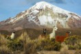 /album/bolivia/bolivia-nevado-sajama-20090617173939-jpg/
